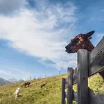 Rinerlodge By Mountain Hotels